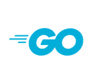 Developer golang