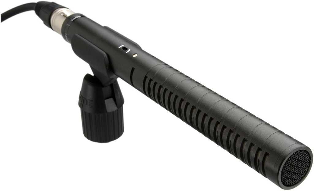 mic shotgun